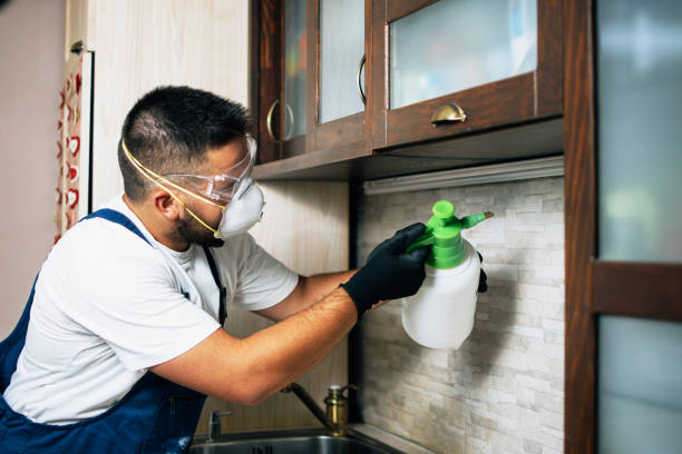 Best Affordable Pest Control Services  in Oakbrook, KY