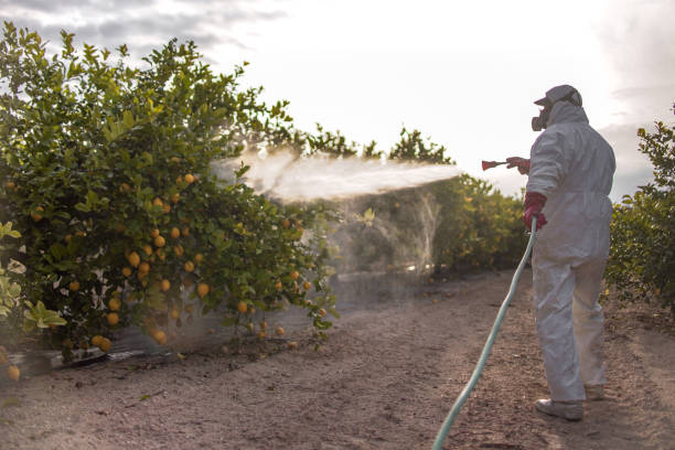 Best Pest Control Near Me in Oakbrook, KY