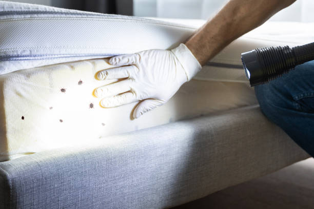 Best Cockroach Control Services  in Oakbrook, KY