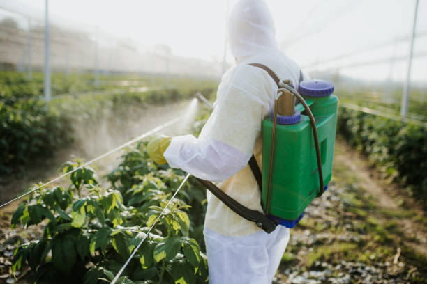 Best Exterminator Services  in Oakbrook, KY